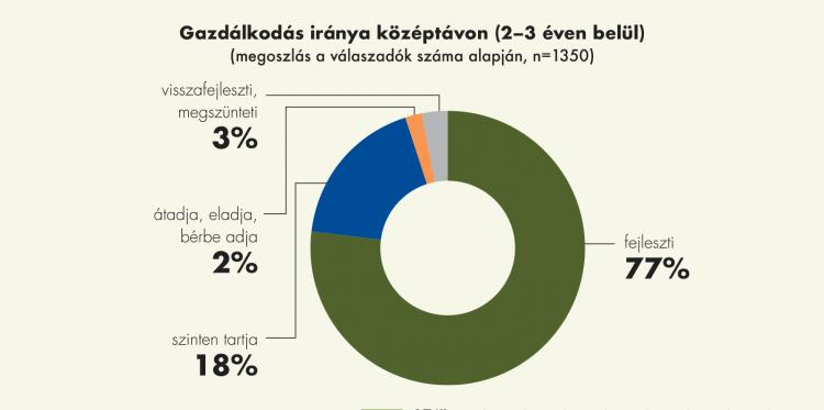 grafika