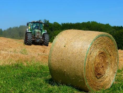 Ez történt 2021-ben! Év végi összefoglaló az agráriumot érintő eseményekről Ez történt 2021-ben! Év végi összefoglaló az agráriumot érintő eseményekről