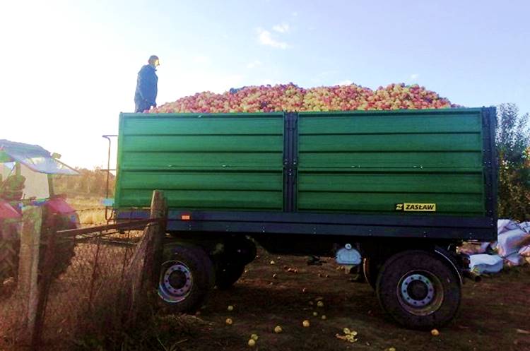 almaszállítás pótkocsival