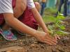 Lusta kertészeknek: tippek az idő- és munkatakarékos kertészkedéshez 