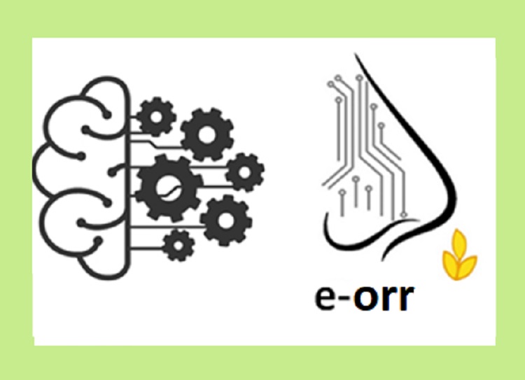 E-orr mesterséges szaglószerv