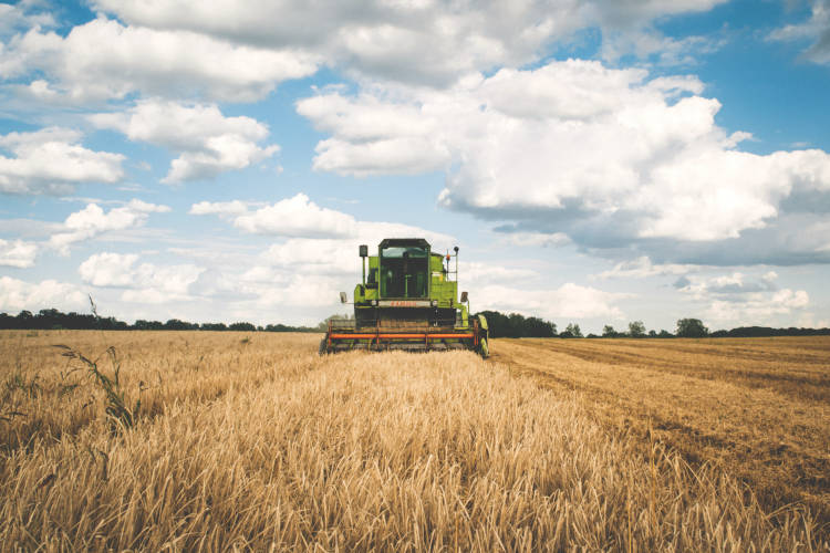 A használt mezőgazdasági berendezések esetében 14,5 százalék a növekmény - derült ki a Sandhills Global új piaci jelentéséből.