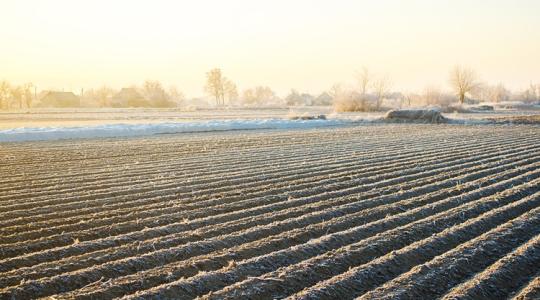 Mit hozott 2021 decemberének időjárása a mezőgazdaságban?
