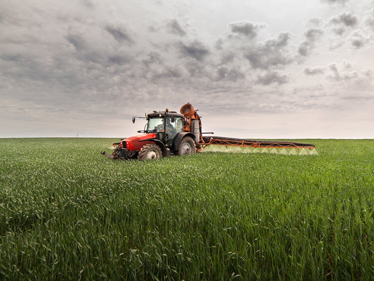 Piros traktor búzát permetez a szántóföldön