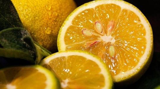 Aggasztó: veszélyes, betiltott növényvédőszer-maradékkal szennyezett citrusfélék is kerültek magyar boltokba