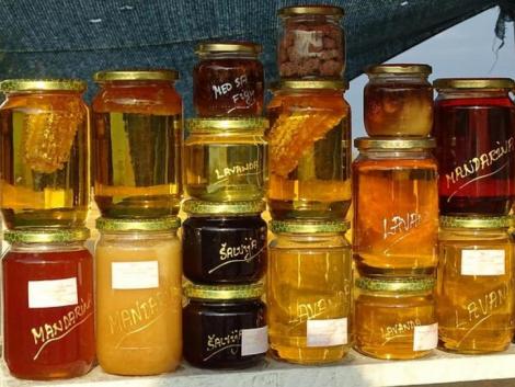 Bombaüzletté vált a mézhamisítás – célkeresztben az akácméz Bombaüzletté vált a mézhamisítás – célkeresztben az akácméz