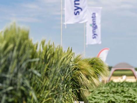 Syngenta Szezonnyitó 2022: rekordtermés, technológiai ajánlás, termelői tapasztalatok Syngenta Szezonnyitó 2022: rekordtermés, technológiai ajánlás, termelői tapasztalatok