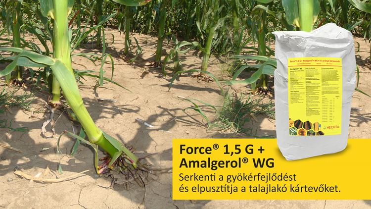 Force 1,5 G + Amalgerol WG keverék a gyökérfejlődésért és a kártevők ellen