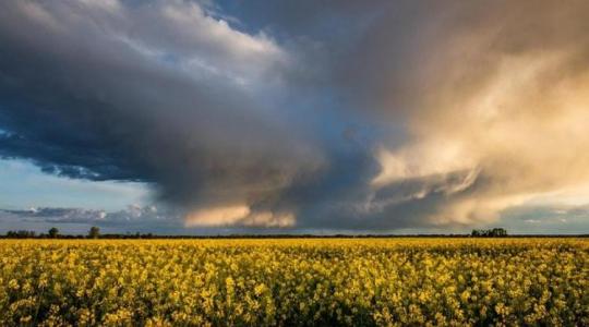Nemzetközi agrometeorológiai helyzetkép: milyen termést vetít előre az időjárás?