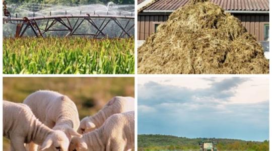 Mi történik a gabonapiacon? Mit okozunk a helytelen öntözéssel? Mi lesz a KAP-reform után?