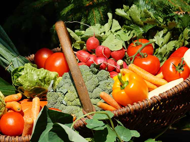 magyarok 52 százaléka hajlandó többet fizetni az itthon termelt zöldségért vagy gyümölcsért,
