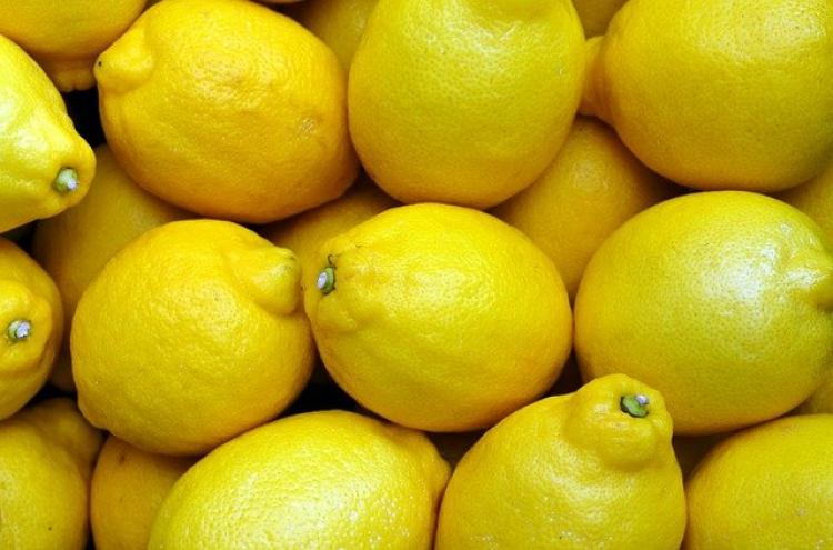 lédig citrom