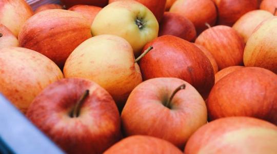 Az olaszok kiszámolták, mekkora kiesésre számíthatnak az almatermesztők