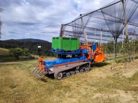 Épp csak a bort meg nem issza: a Slopehelper robot segít a szőlősben és gyümölcsösben Épp csak a bort meg nem issza: a Slopehelper robot segít a szőlősben és gyümölcsösben