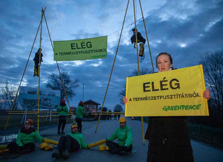Greenpeace-aktivisták demonstrálnak a Fertő tavi gigaberuházás ellen