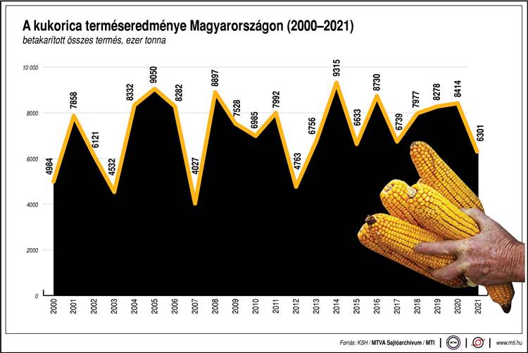kukorica termésmennyisége