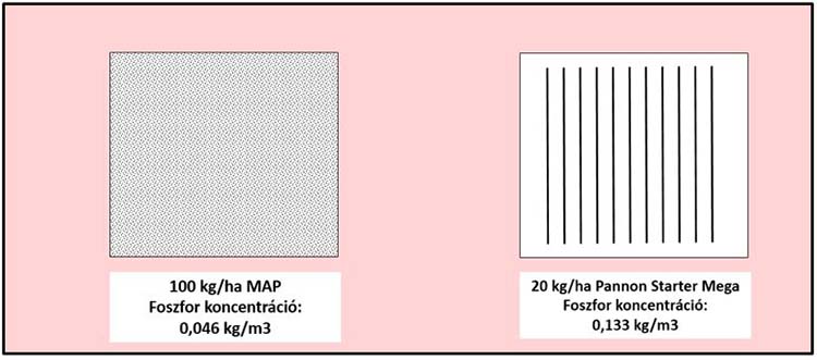 A magárokban a foszforkoncentráció teljes felületre kiszórt és a Pannon Starter Mega esetében
