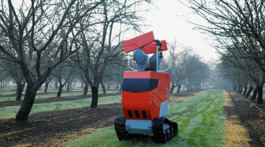 Zseniális kertészeti robot, ami egyszerűen lelövi a termésmúmiákat a fáról