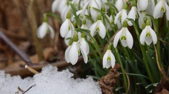 30 napos időjárás-előrejelzés: elhúzódó tél vagy végre tavasz?