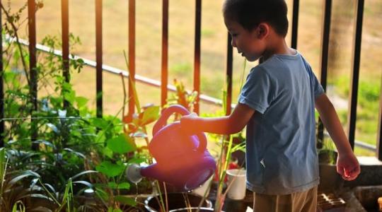 Ezek a gyerekek örülhetnek az új kertnek