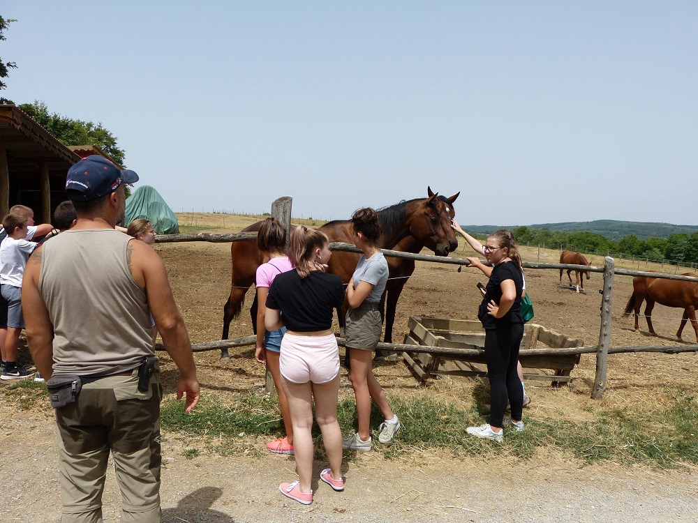 farmlátogatás lovarda