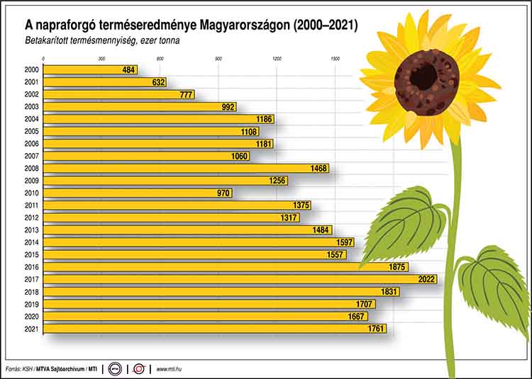 A napraforgó terméseredménye Magyarországon