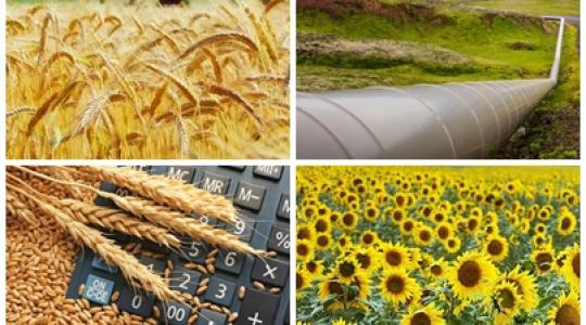 Elszabaduló élelmiszer-, termény- és energiaárak és az orosz-ukrán konfliktus egyéb hatásai Elszabaduló élelmiszer-, termény- és energiaárak és az orosz-ukrán konfliktus egyéb hatásai
