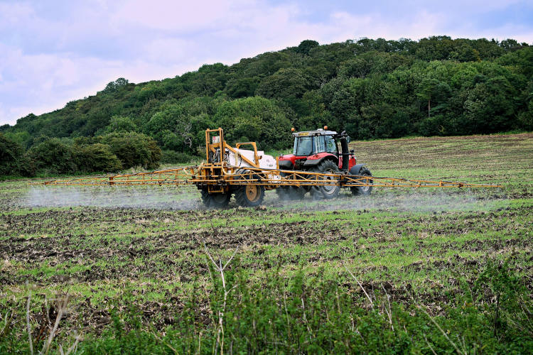 En el escenario actual, los agricultores de Europa y otros países no pueden obtener cantidades de fertilizante por contrato debido a las actividades destructivas de muchas empresas de logística extranjeras y su negativa a suministrar sus productos.