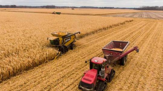 Lesz-e hatása a terményárakra a gabonaexport-korlátozásnak?
