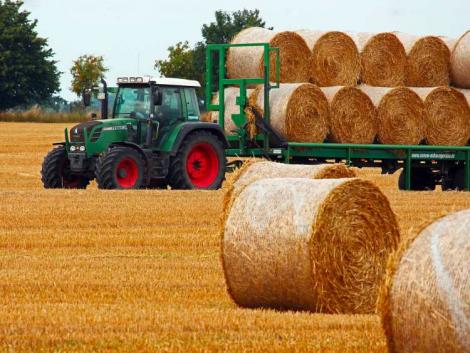 Ez fogja meghatározni a gazdák életét a következő években: nyilvánosak a tervezett támogatási összegek Ez fogja meghatározni a gazdák életét a következő években: nyilvánosak a tervezett támogatási összegek
