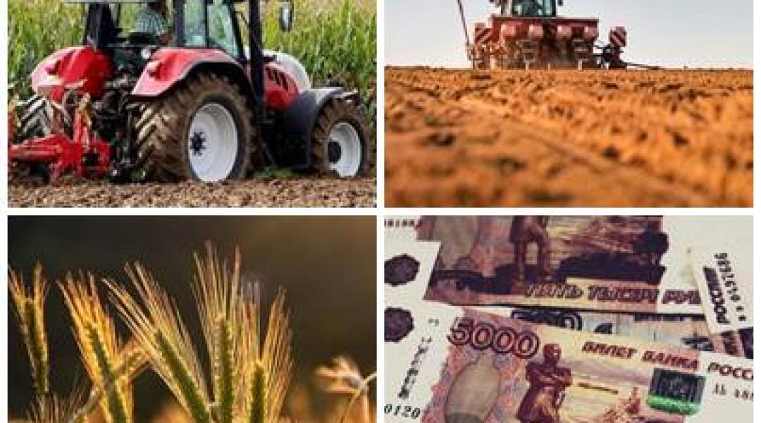 Megdöbbentő terményárak, gabonaexport-korlátozás, komoly gondok a műtrágyapiacon