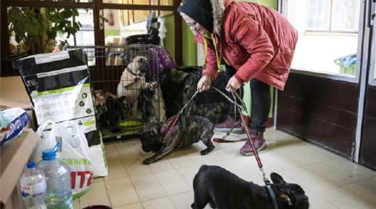 Támogatást kapnak az ukrajnai menekülteket foglalkoztatók