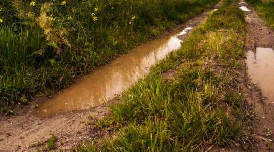 Saras eső öntheti el Európát, hazánk nyugati megyéi is kaphatnak belőle