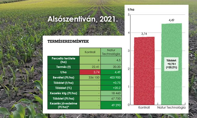 Alszószentiváni mérések, terméseredmények táblázatos és diagramos formában