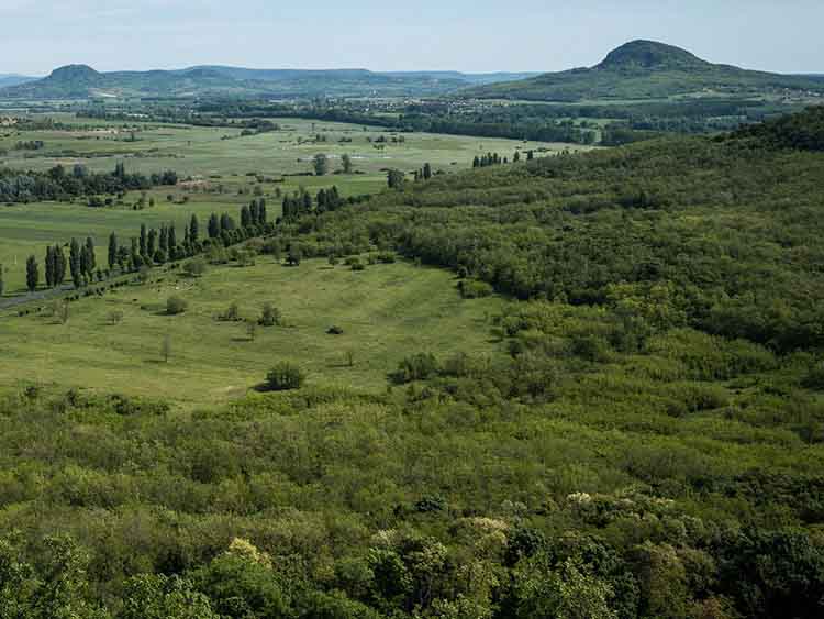 Magyarország területének mintegy 22 százalékát borítja erdő