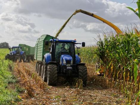 Olyan változásokat hoz a háború a magyar mezőgazdaságban, amire eddig nem is gondoltunk