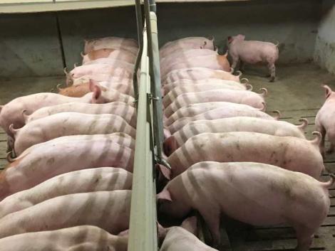 Figyelem! Péntektől lehet benyújtani a kifizetési kérelmeket