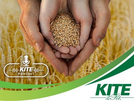 Milyen kilátásai vannak a magyar agráriumnak és mit tehet a gazdálkodó a talpon maradásért? Milyen kilátásai vannak a magyar agráriumnak és mit tehet a gazdálkodó a talpon maradásért?