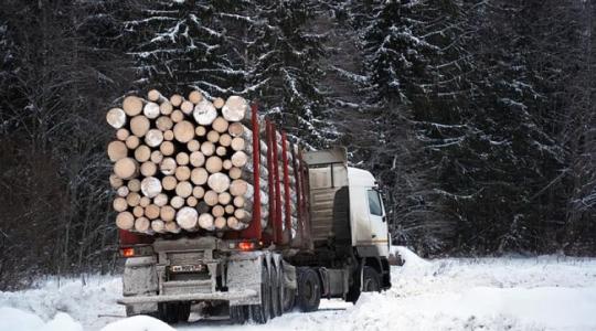 Fokozott figyelem szükséges a faanyag-kereskedelemben, ha el akarjuk kerülni a bajt