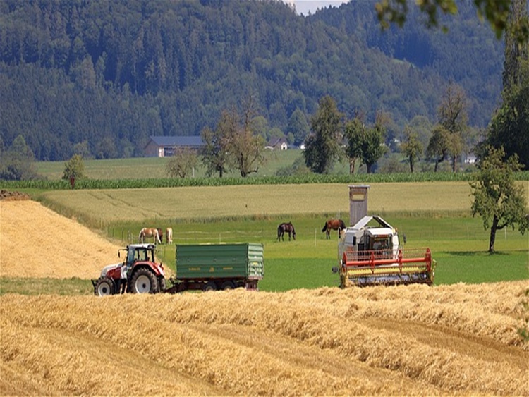 mezőgazdasági gépek