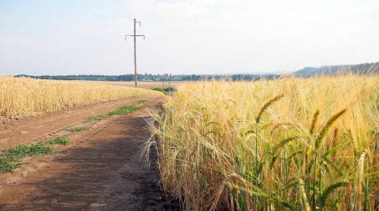 Aktuális agrárhelyzet Ukrajnából, gazdaszemmel