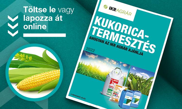 IKR-Agrár Kft. kukoricatermesztési online katalógus
