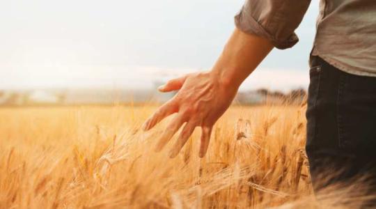 Munkalehetőségek az Agroinform piacterén – Ukrajnából érkezők figyelmébe ajánljuk