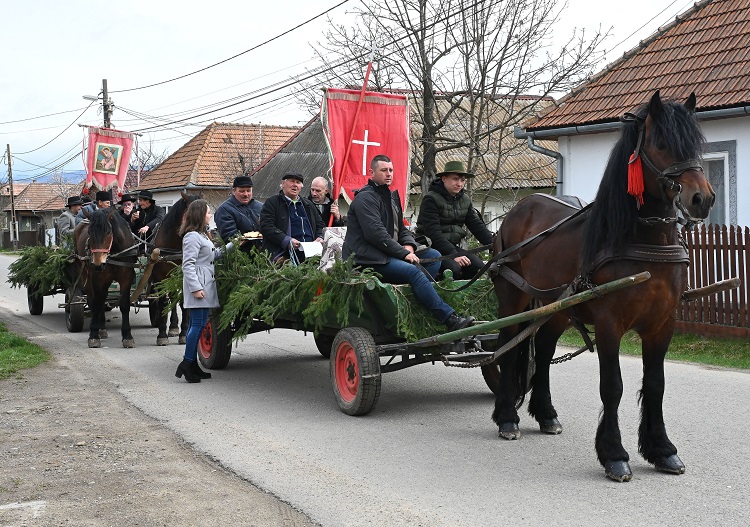 Határkerülés, határjárás