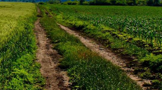 Súlyos probléma: a termőföldek harmada alkalmatlan a művelésre Ukrajnában
