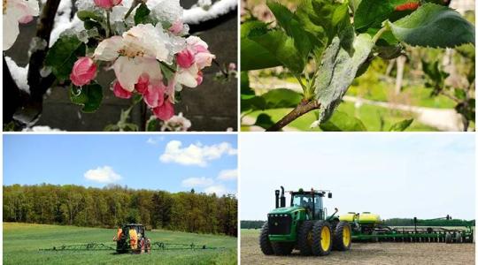 Növénykondicionálás, határidők, terményárak – a legfontosabb szakmai hírek egy helyen