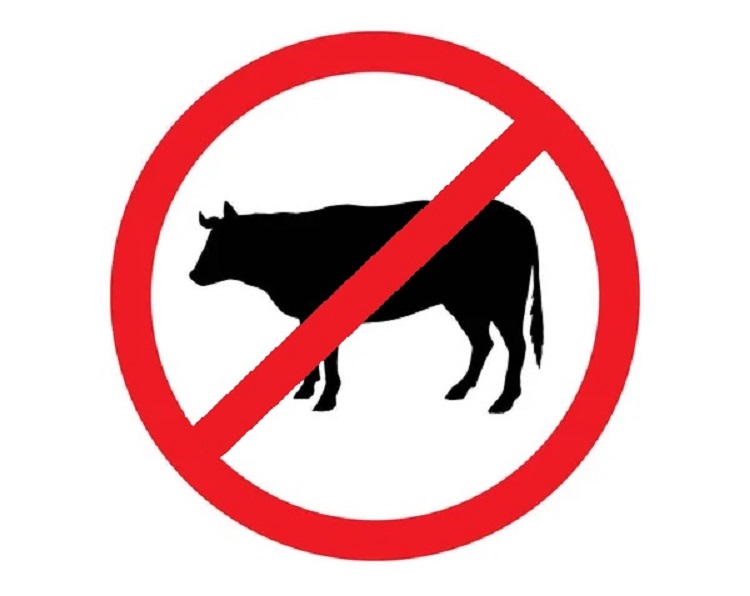 szarvasmarha tiltás veszély,