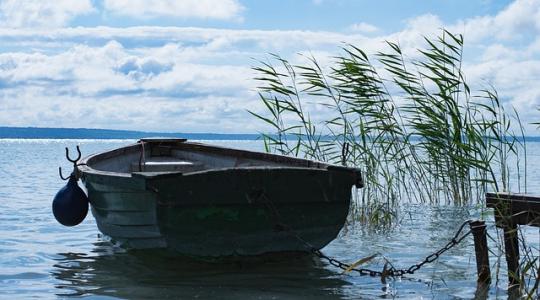 Baj lehet a Balaton vizével – fonalas kékalga jelent meg a magyar tengerben