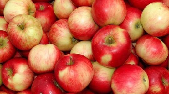 Vajon mi lesz a sorsa a raktárakban álló 2,18  millió tonna almának?