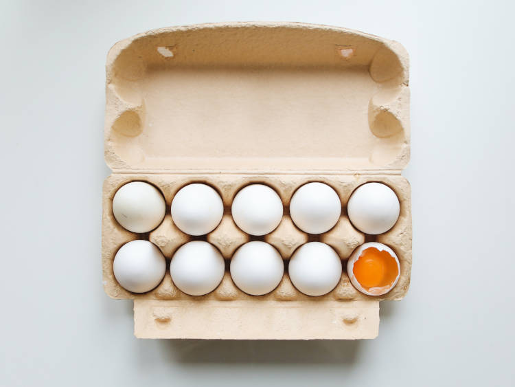 Csak élő madarak tojnak tojást, ezért előnyünkre válik, ha a madarainkat biztonságban tudhatjuk